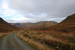 Wanderung auf den Bakkanosi oberhalb des Nærøyfjord - im Slettedalen Tal