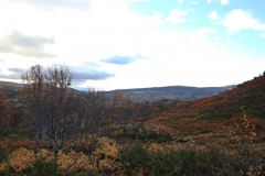 Unterwegs im Dovrefjell-Sunndalsfjella-Nationalpark