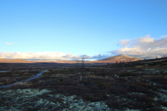 Rastplatz im Dovrefjell-Sunndalsfjella-Nationalpark