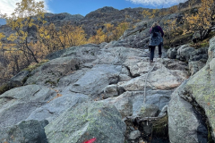 Wanderung zur Gletscherzunge des Buarbreen - Und wieder eine kurze Kletterei