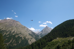 Helikoptertransport in den Schweizer Bergen