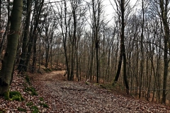 Wandertour Felsenweg 1