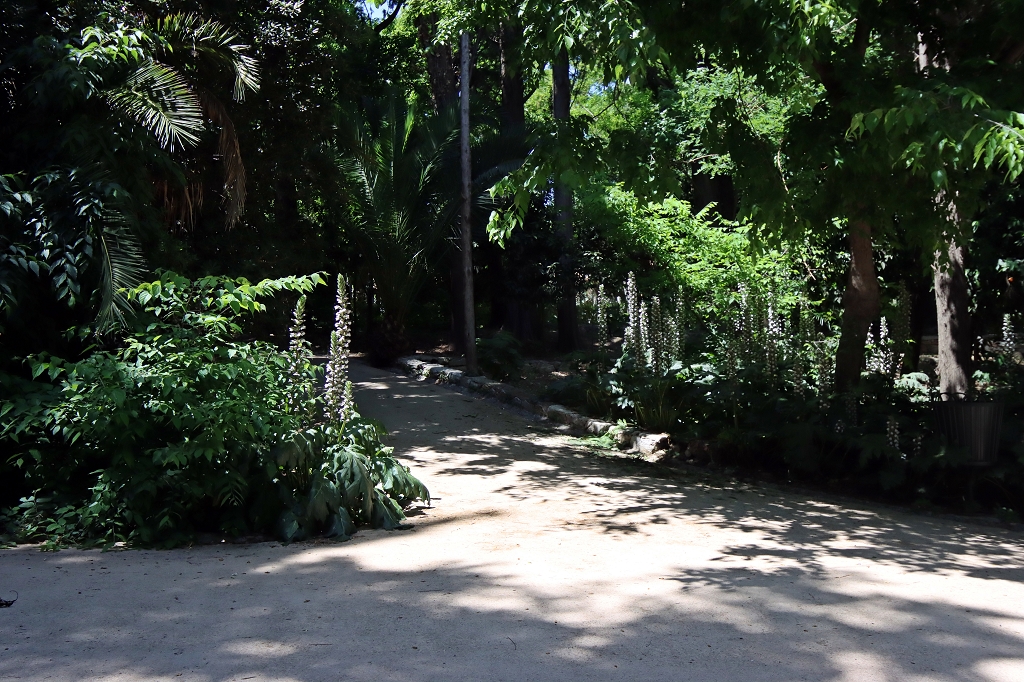 Nationalgarten Athen