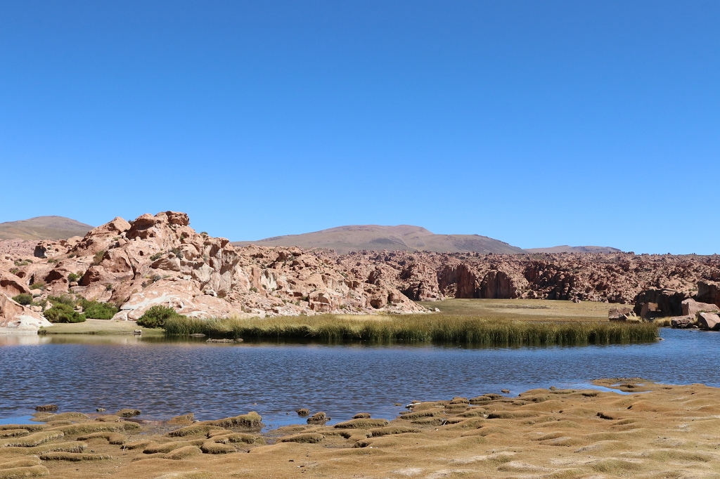 Laguna Catal (Laguna Negra) in Bolivien