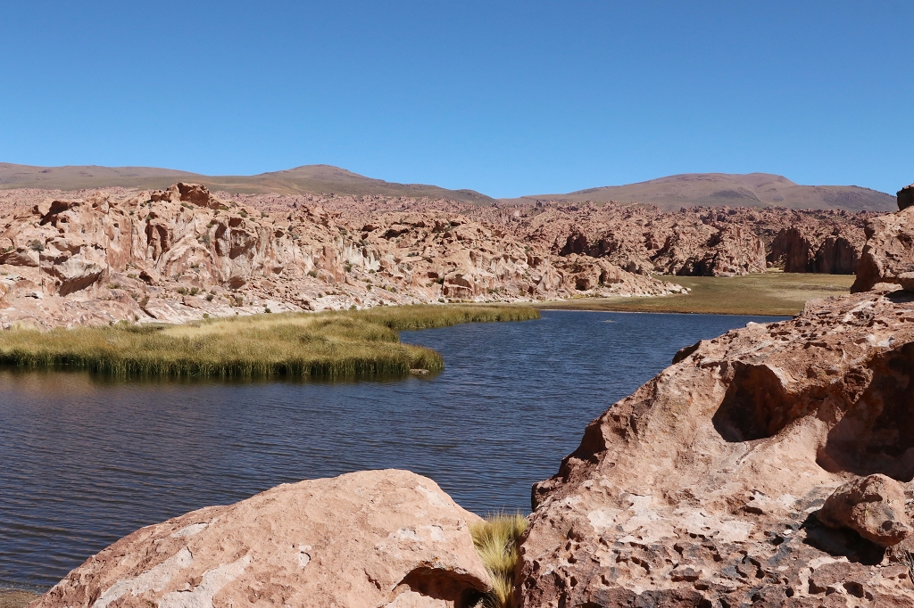 Laguna Catal (Laguna Negra) in Bolivien