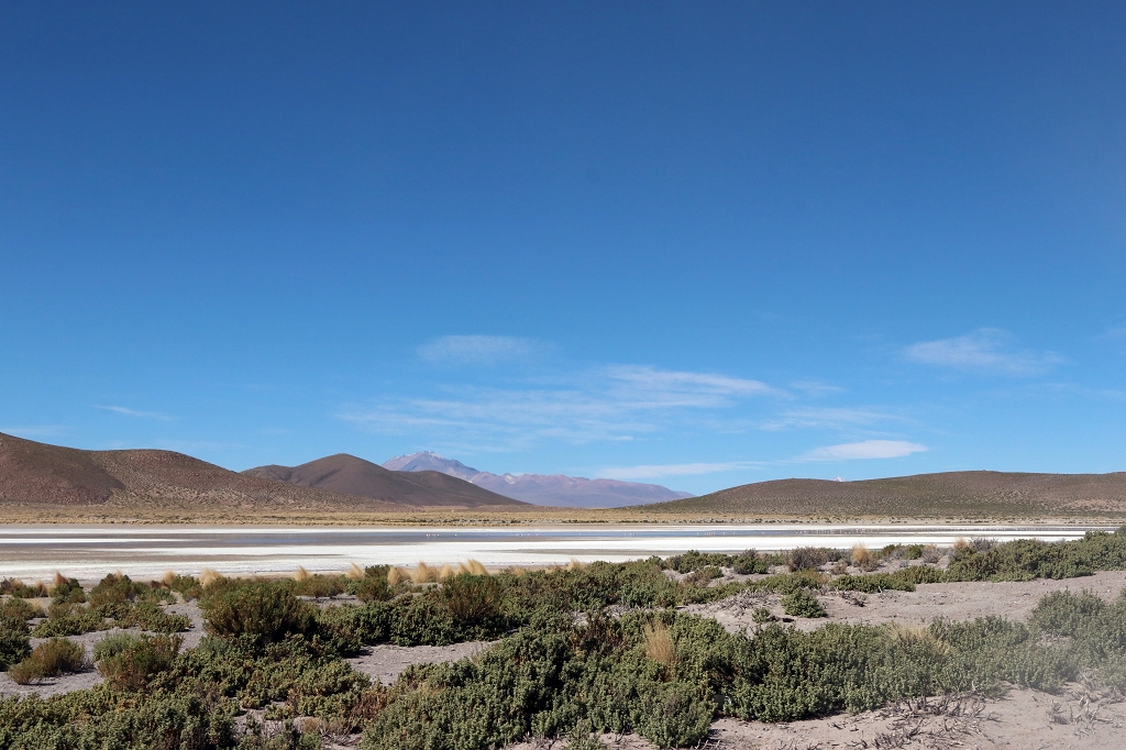Altiplano, Bolivien