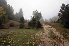 Nebelverhangener Sutjeska-Nationalpark
