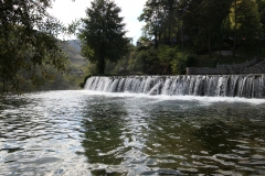 Blick auf die Pliva und die kleinen Wasserfälle von Jajce