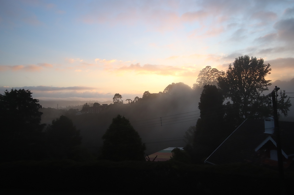 Morgenstund hat Gold im Mund