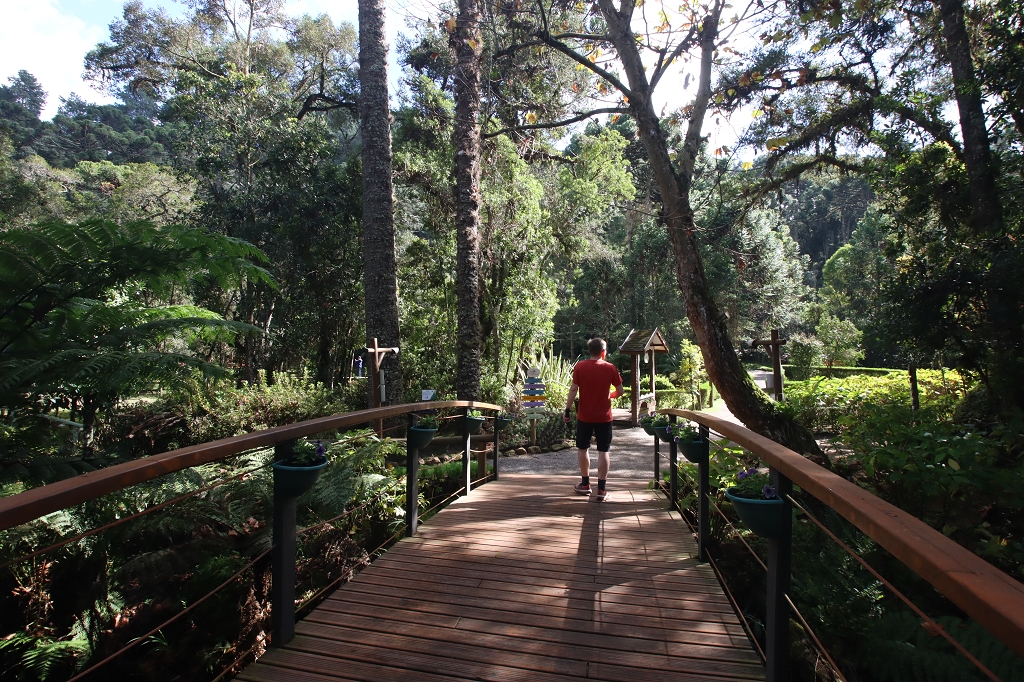 Bosque do Silencio