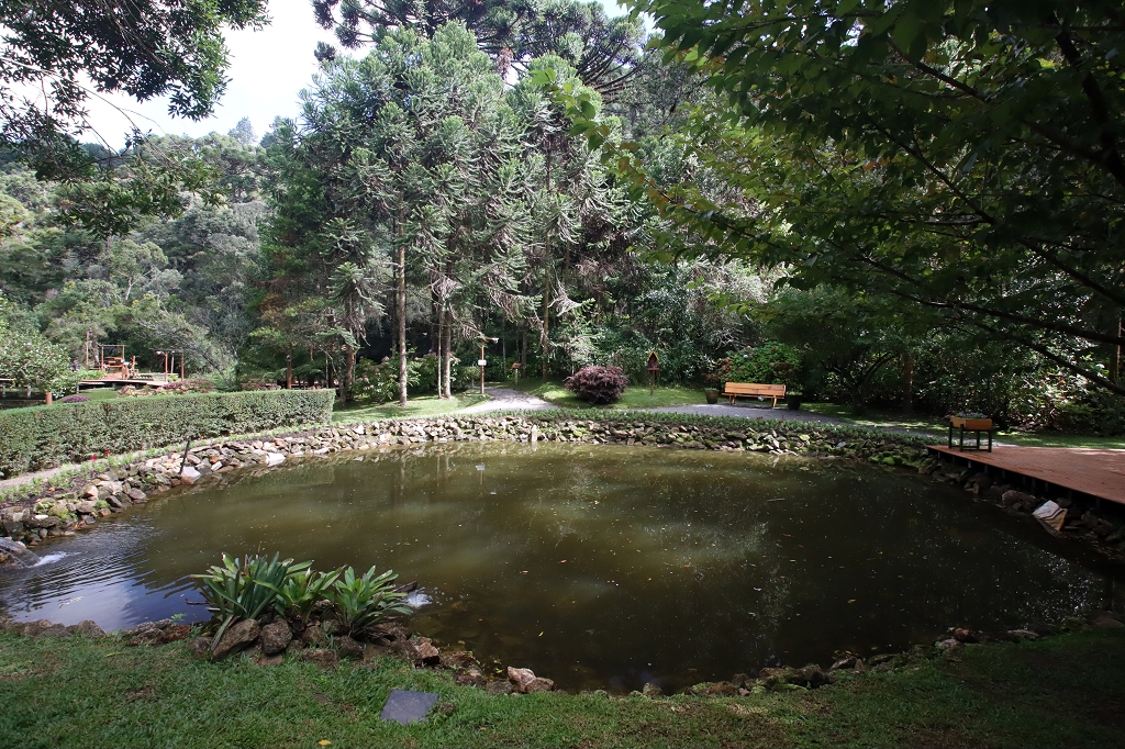 Bosque do Silencio