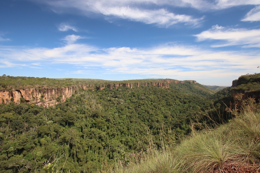 Blick auf den Nationalpark Chapada dos Guimaraes