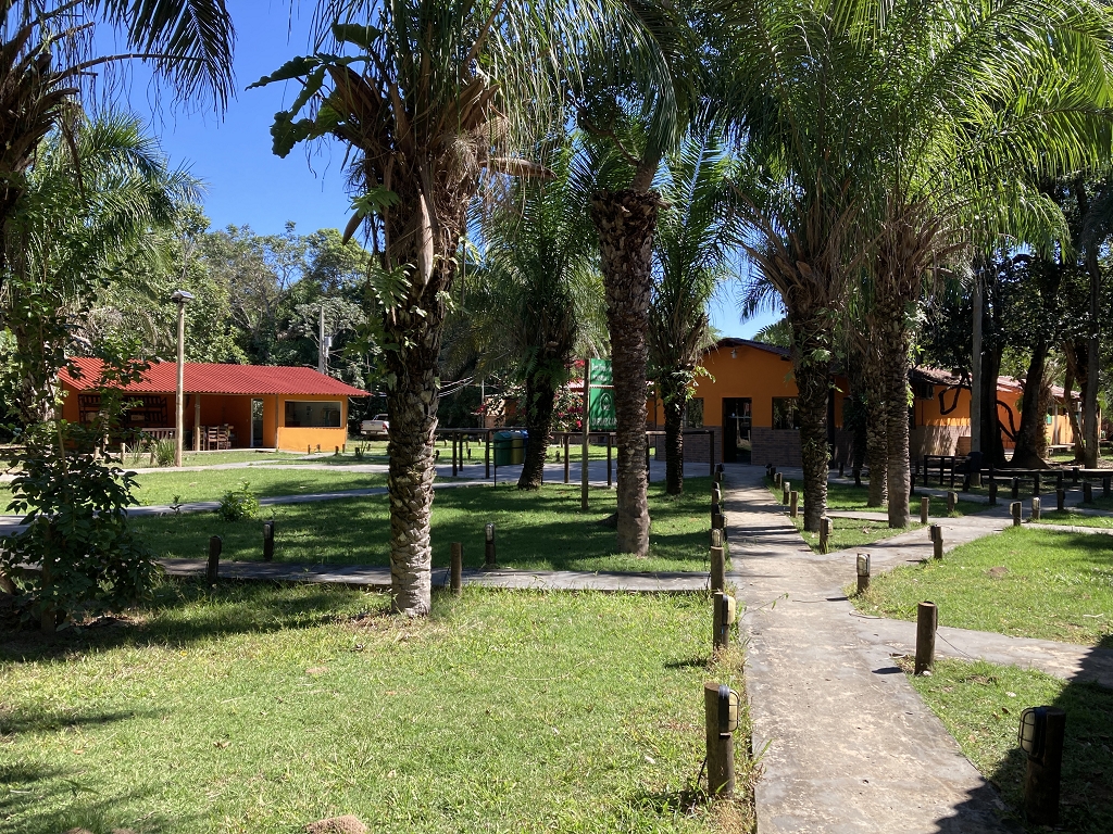 Jaguar Camp in Porto Jofre