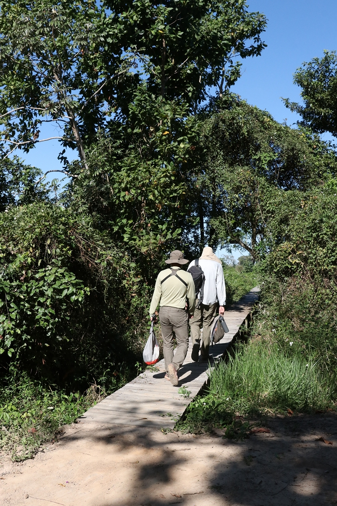 Auf dem Weg zum Hafen 