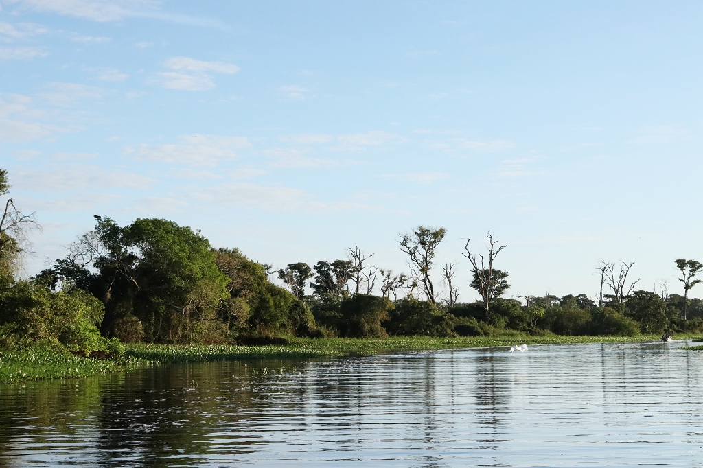 Unterwegs im Nord-Pantanal