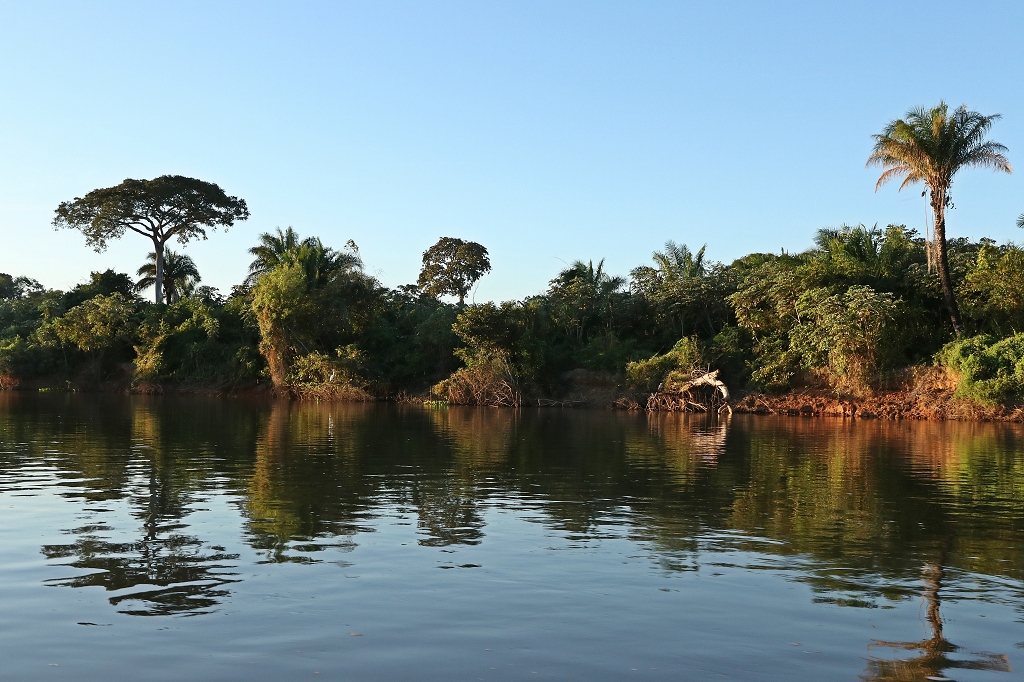 Goldene Stunde im Pantanal