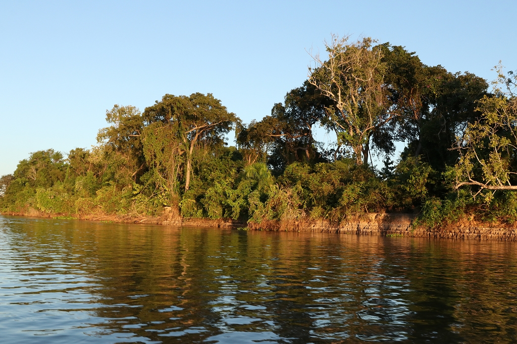 Goldene Stunde im Pantanal