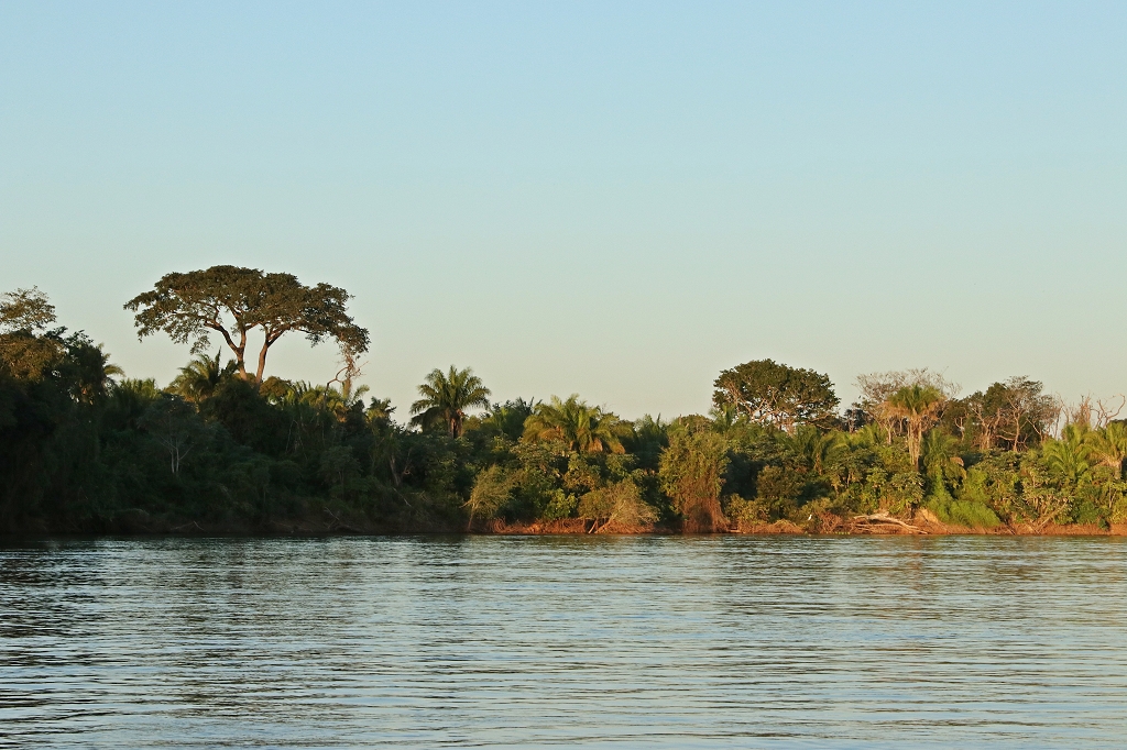 Goldene Stunde im Pantanal