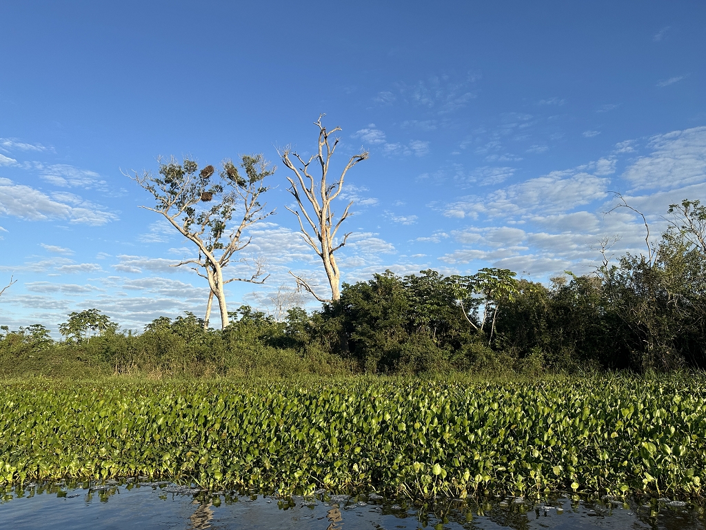 Unterwegs im Nord-Pantanal