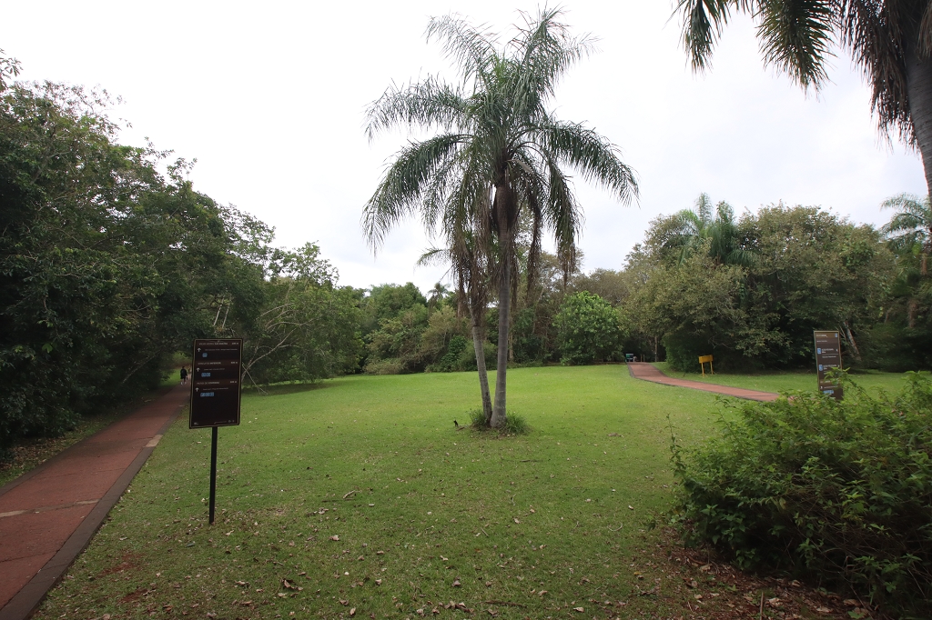Lower Circuit im Iguazu Falls Nationalpark