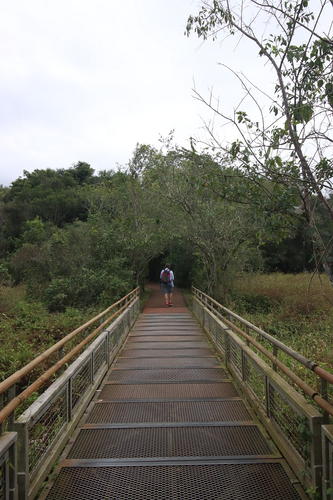 Grüner Trail im Iguazu Falls Nationalpark in Argentinien
