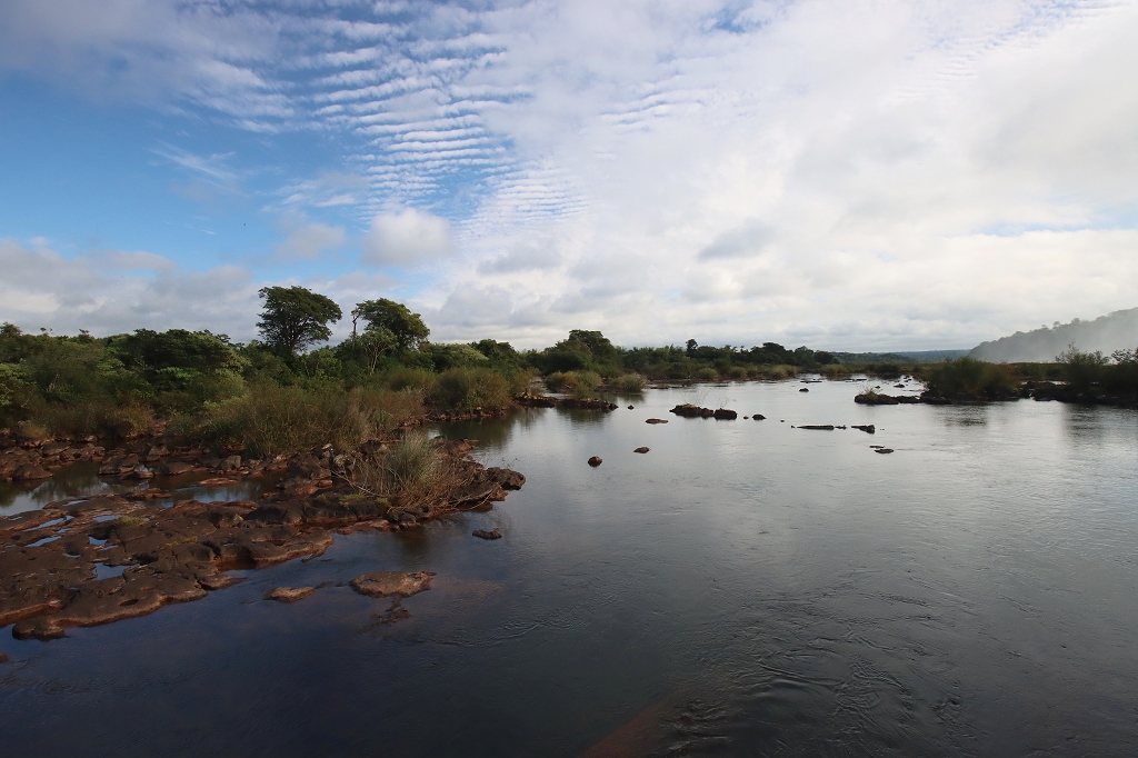 Bick auf den Fluss Iguazu