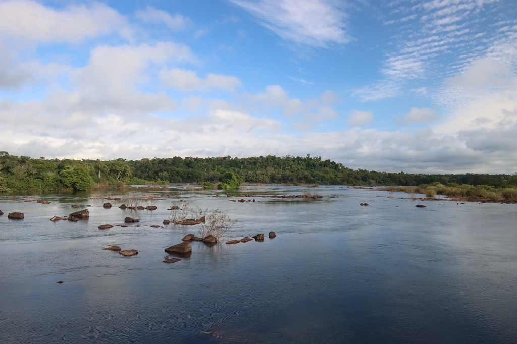 Bick auf den Fluss Iguazu