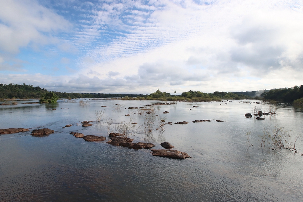 Bick auf den Fluss Iguazu