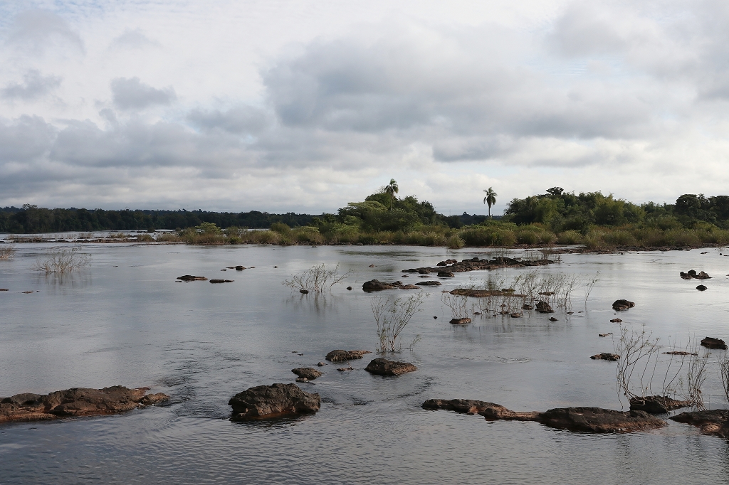 Bick auf den Fluss Iguazu