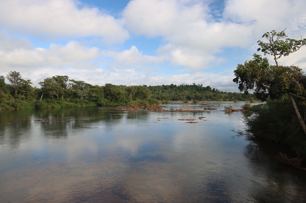 Bick auf den Fluss Iguazu