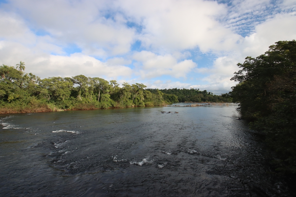 Bick auf den Fluss Iguazu