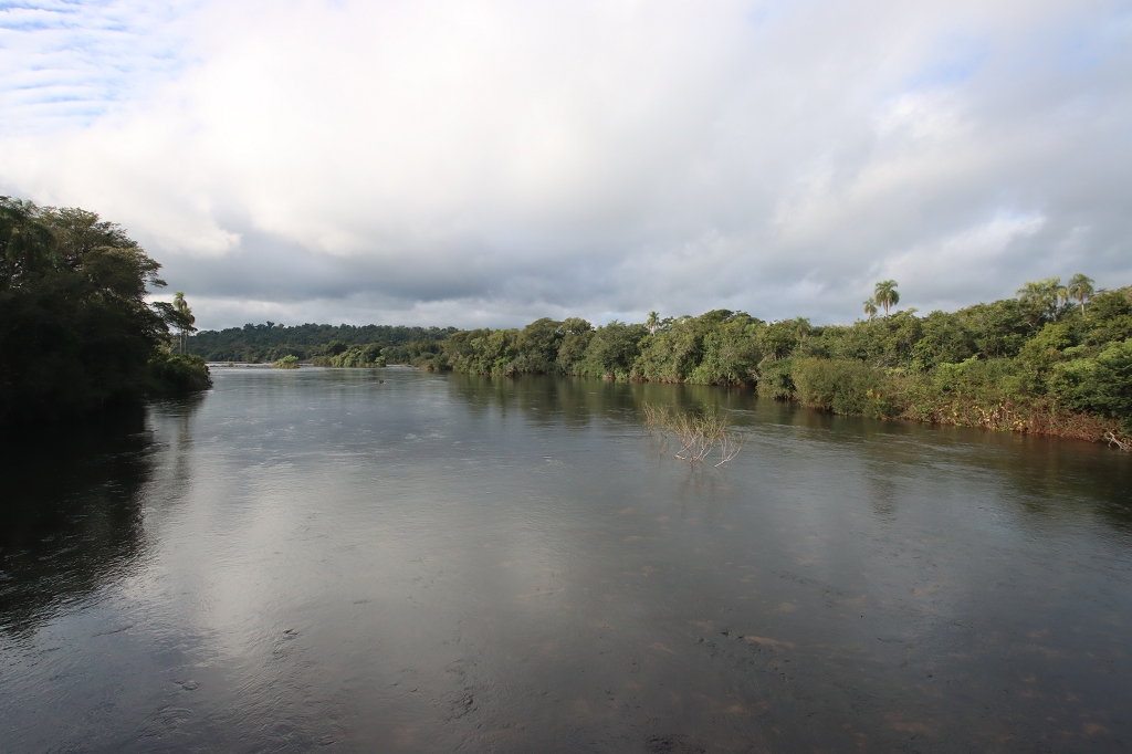 Bick auf den Fluss Iguazu