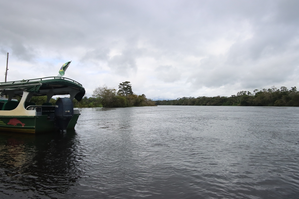Fahrt vom Arara-Hafen zur Amazon Turtle Lodge