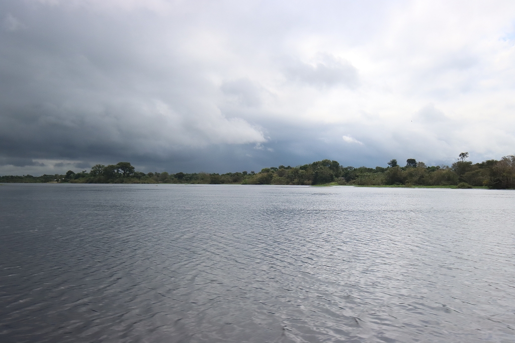 Fahrt vom Arara-Hafen zur Amazon Turtle Lodge