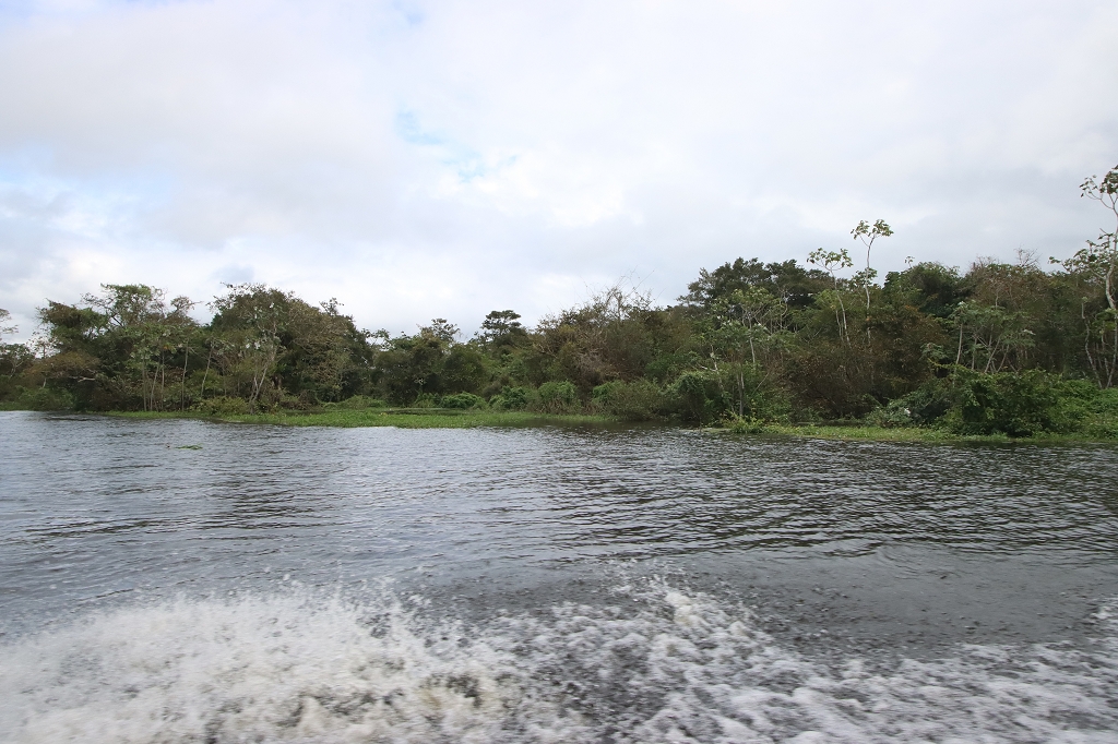 Fahrt vom Arara-Hafen zur Amazon Turtle Lodge