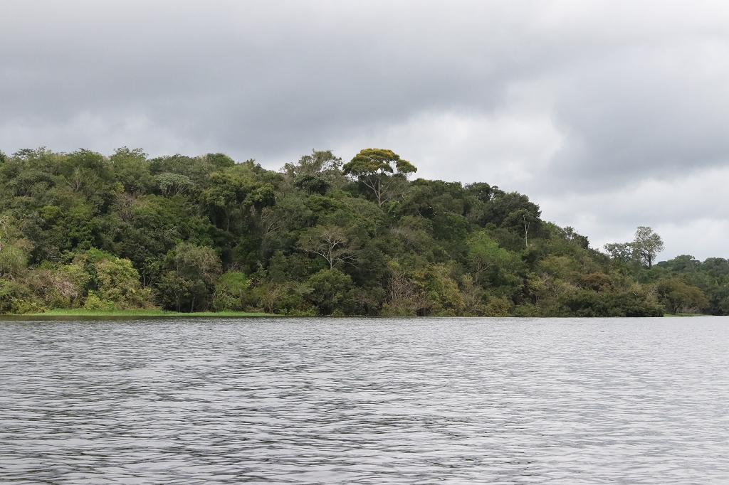 Fahrt vom Arara-Hafen zur Amazon Turtle Lodge