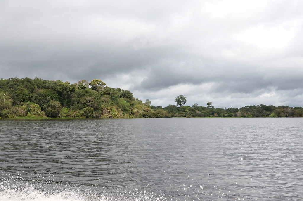 Fahrt vom Arara-Hafen zur Amazon Turtle Lodge