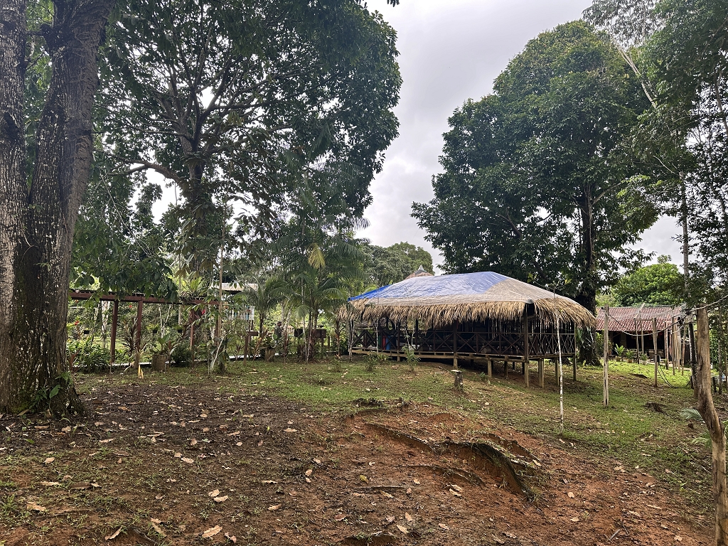 Amazon Turtle Lodge
