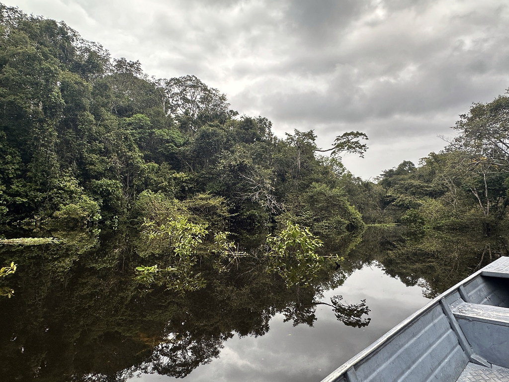 Überflutungsgebiet im Amazonas