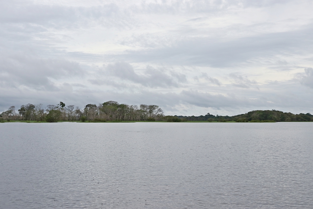 Piranha-See im Amazonas-Regenwald