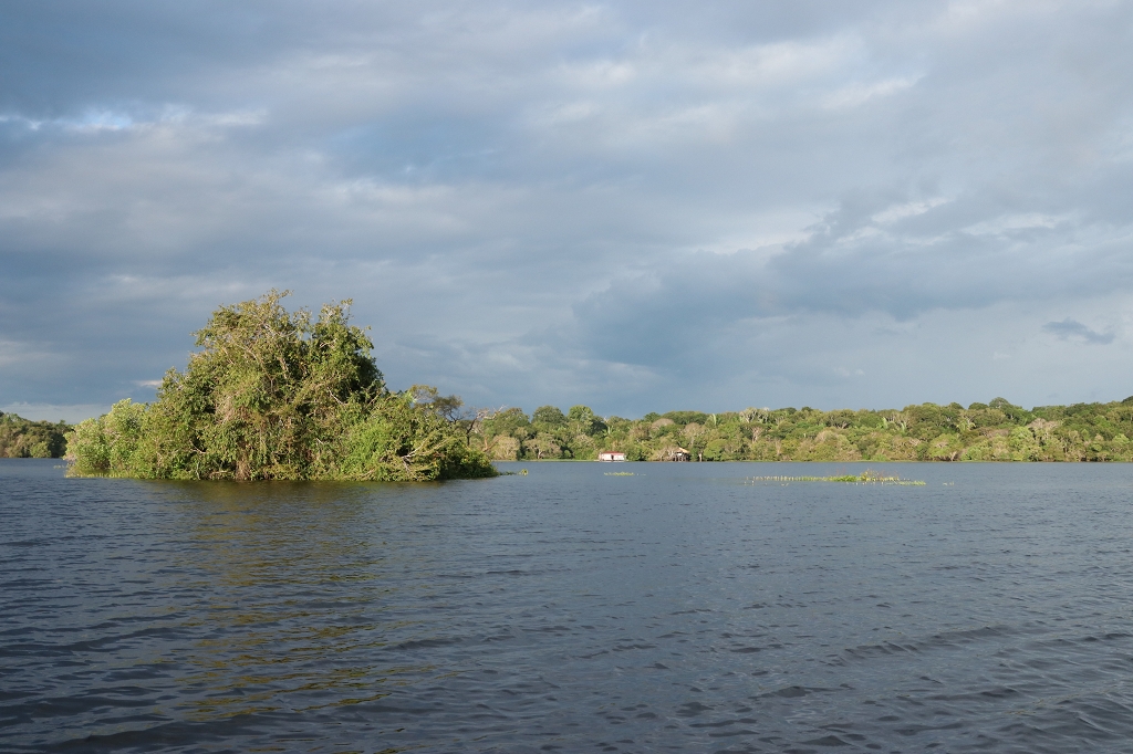 Juma Fluss zur Regenzeit
