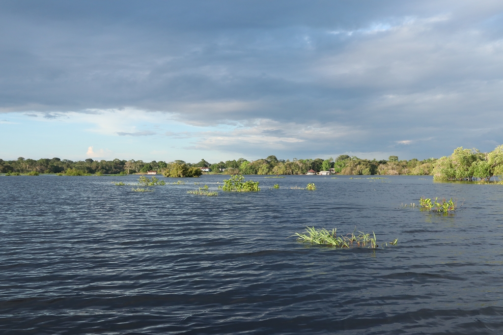 Juma Fluss zur Regenzeit