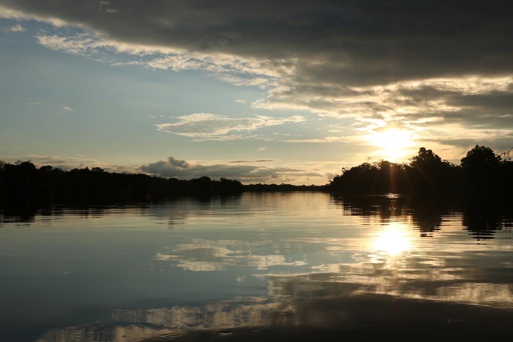 Sonnenuntergang im Amazonas