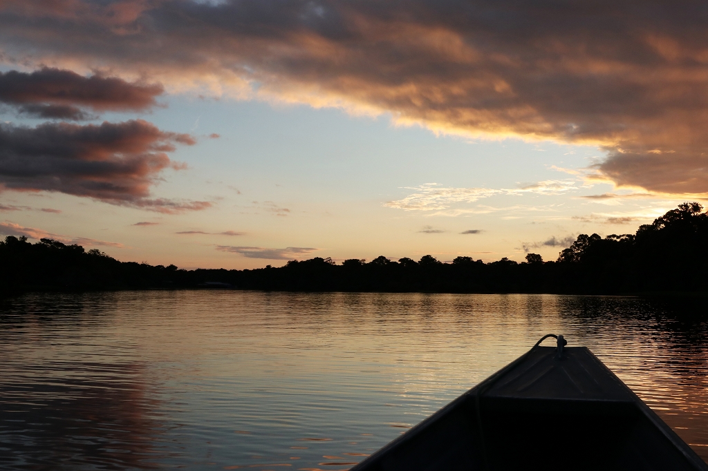 Sonnenuntergang im Amazonas