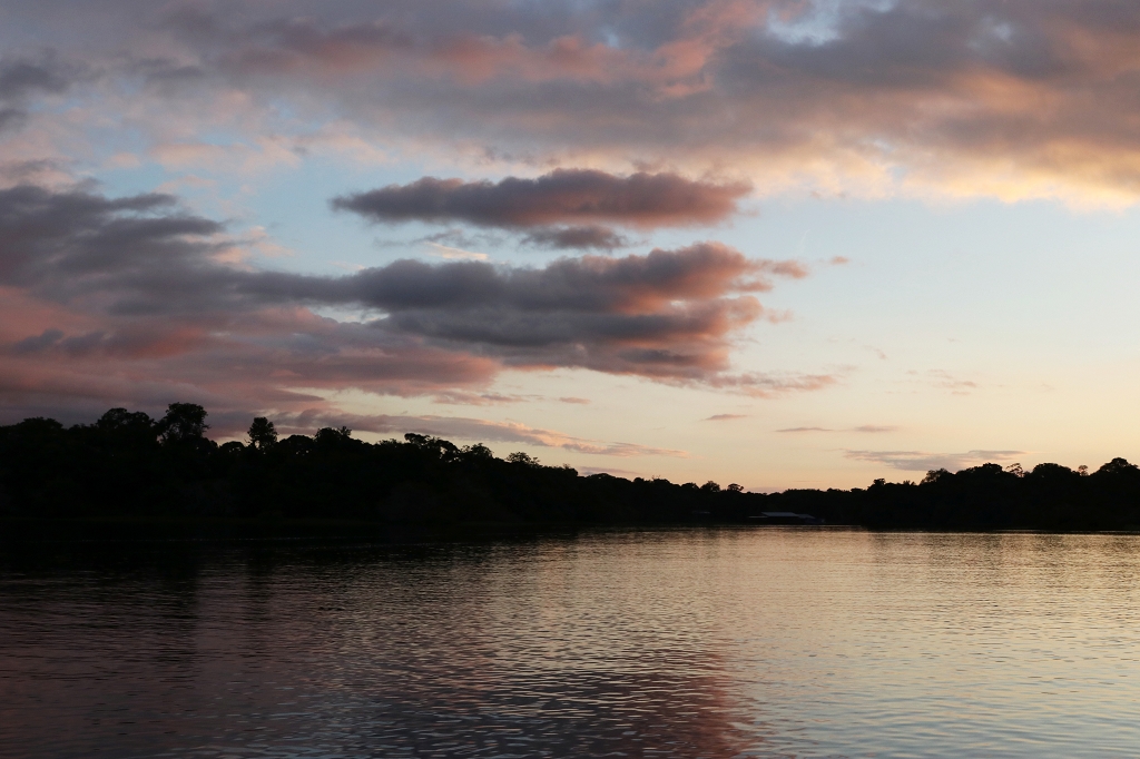 Sonnenuntergang im Amazonas