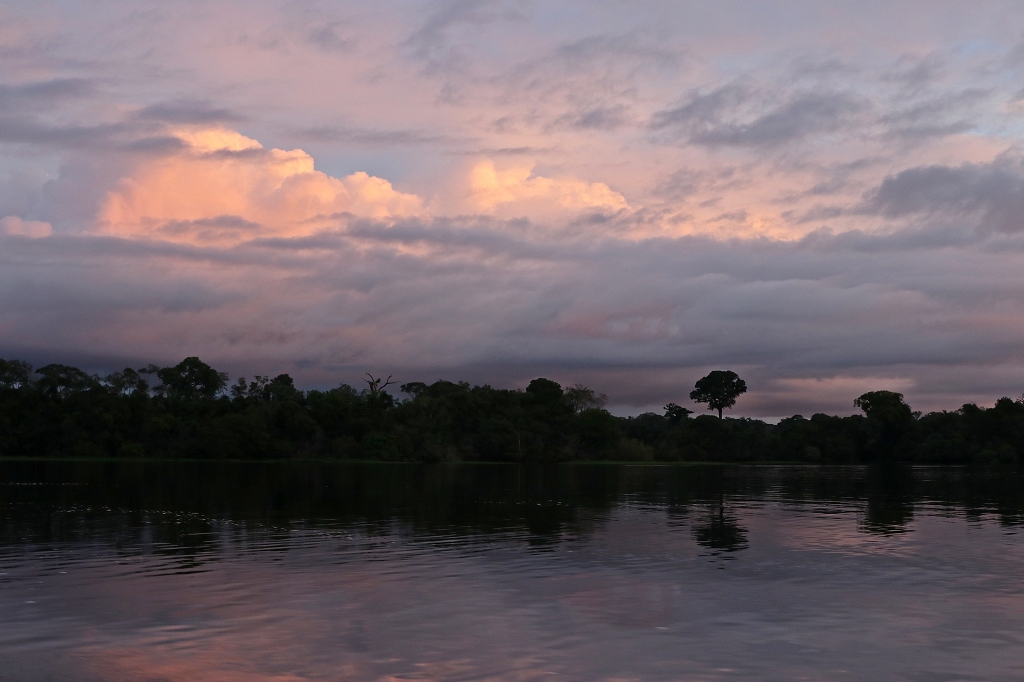 Sonnenuntergang im Amazonas