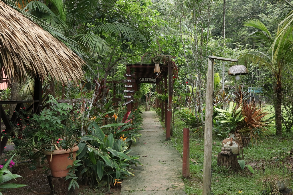 Amazon Turtle Lodge