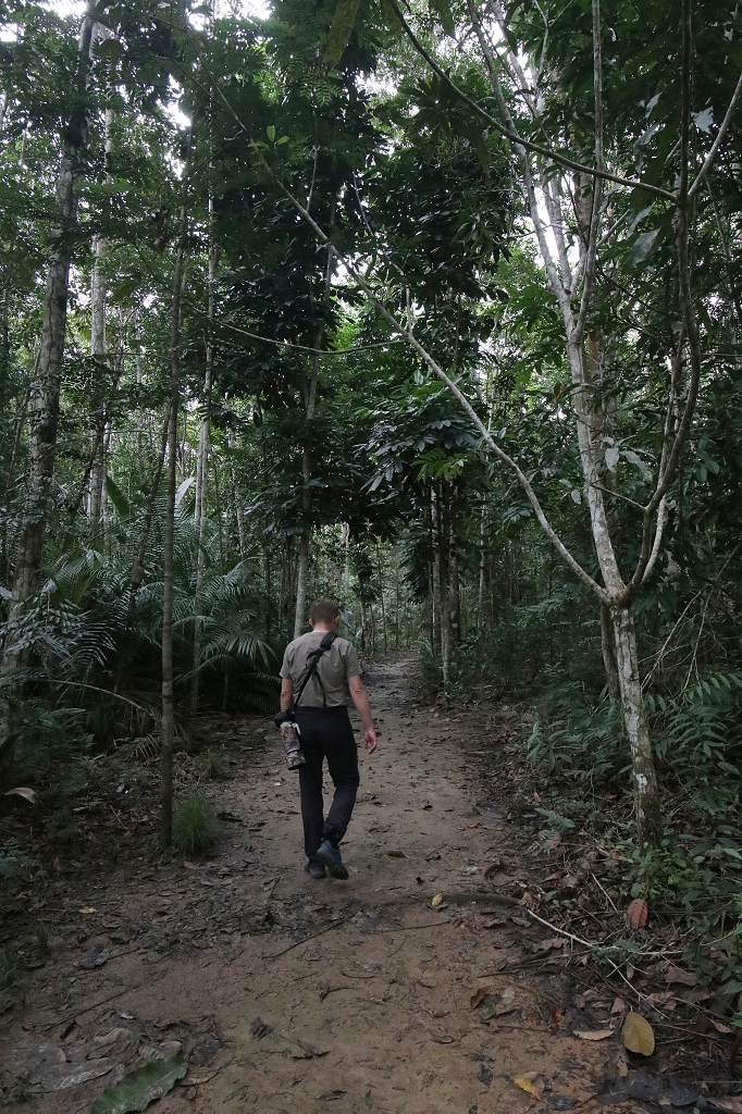 Eco Trilha (Öko-Pfad) an der Amazon Turtle Lodge