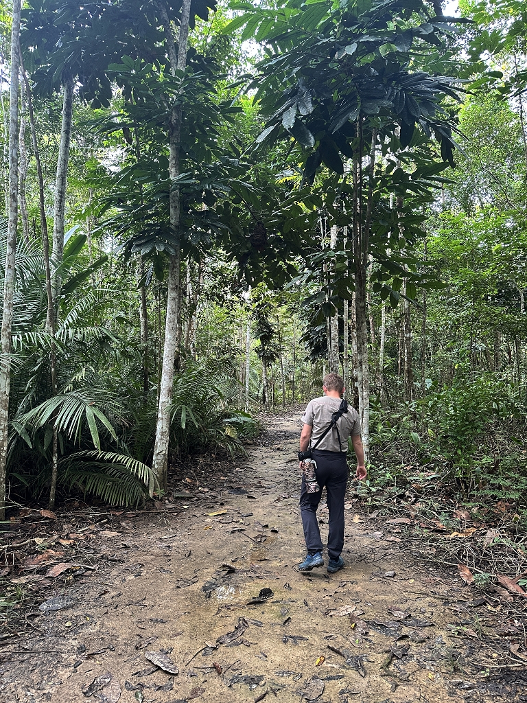 Eco Trilha (Öko-Pfad) an der Amazon Turtle Lodge