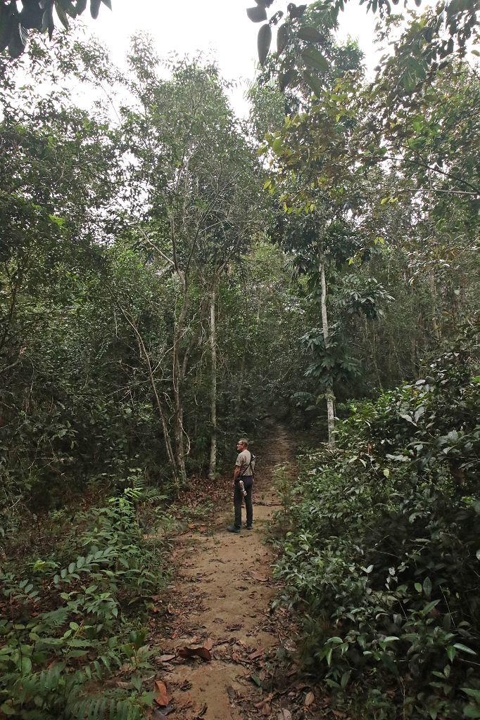 Eco Trilha (Öko-Pfad) an der Amazon Turtle Lodge